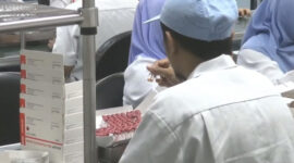 Karyawan Tengah Sortir Vial Vaksin di Pabrik Bio Farma, Bandung.